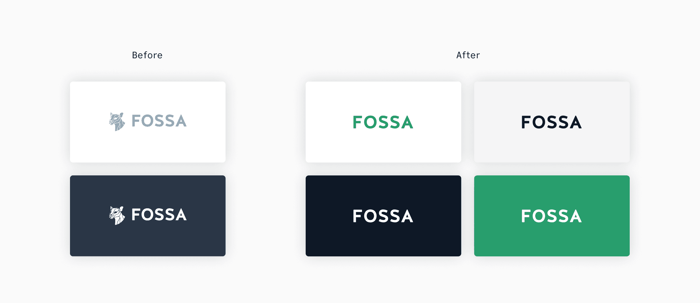 A Journey Through Our New Brand and Website