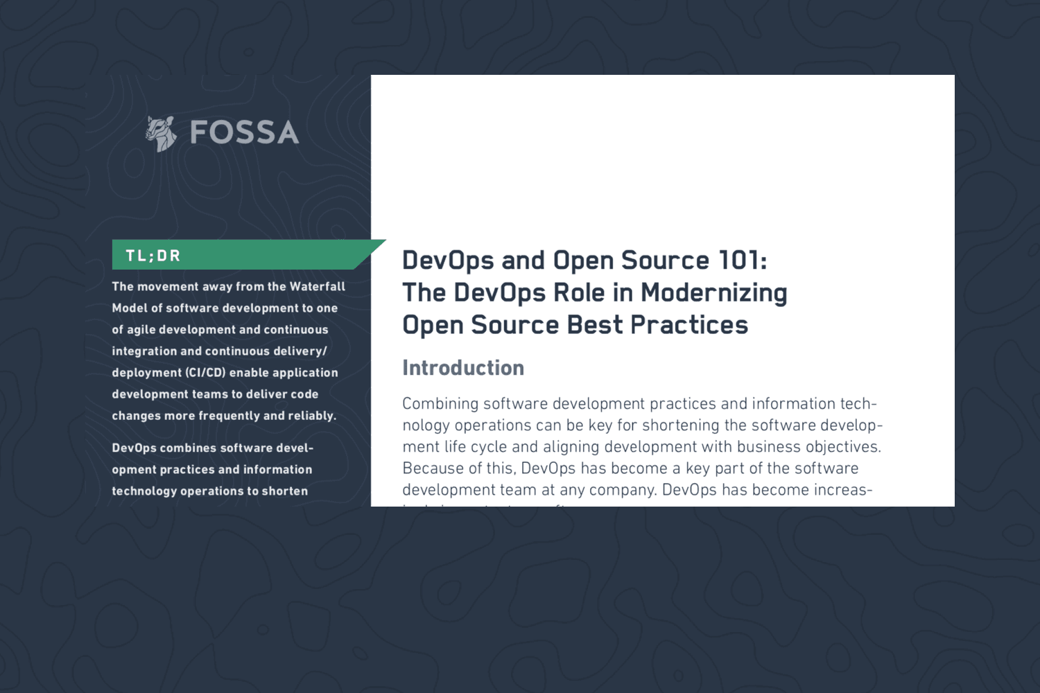 DevOps and Open Source + CI/CD = Mitigating Risk Without Sacrificing Speed