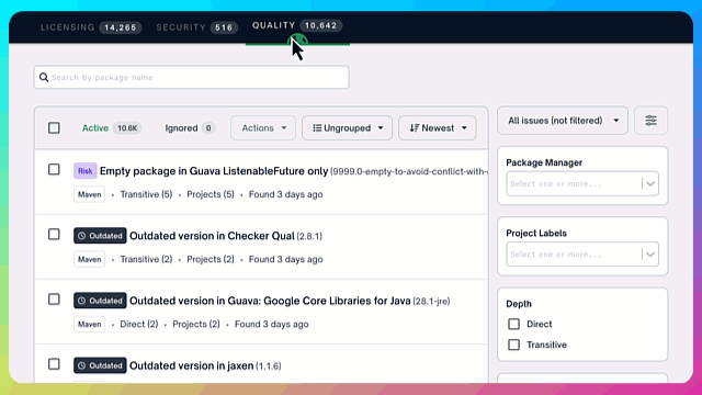 An example of a software package with quality risks